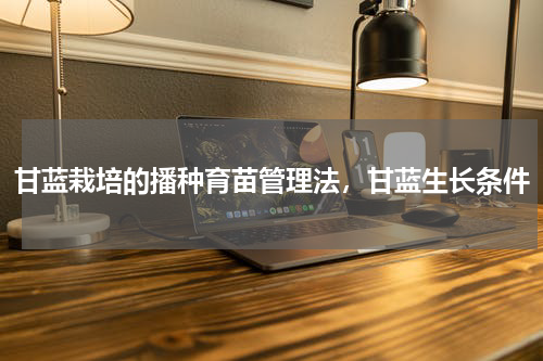 甘蓝栽培的播种育苗管理法，甘蓝生长条件