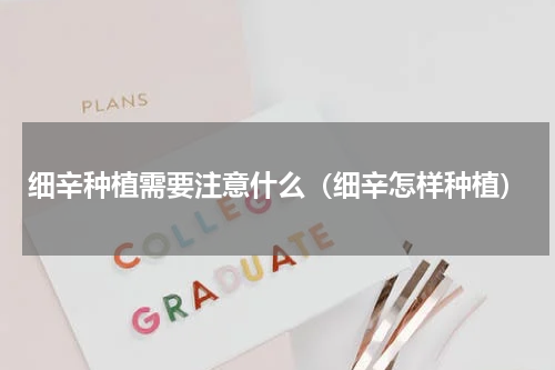 细辛种植需要注意什么（细辛怎样种植）
