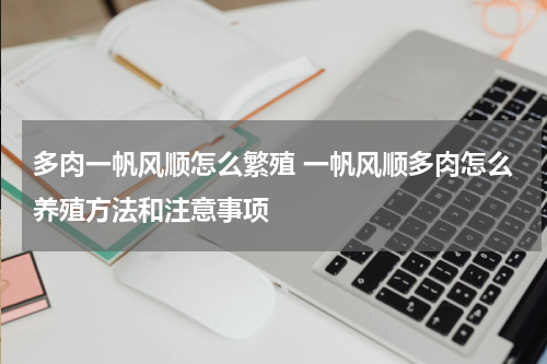 多肉一帆风顺怎么繁殖 一帆风顺多肉怎么养殖方法和注意事项