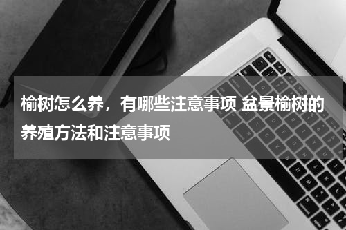榆树怎么养，有哪些注意事项 盆景榆树的养殖方法和注意事项