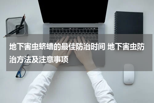 地下害虫蛴螬的最佳防治时间 地下害虫防治方法及注意事项