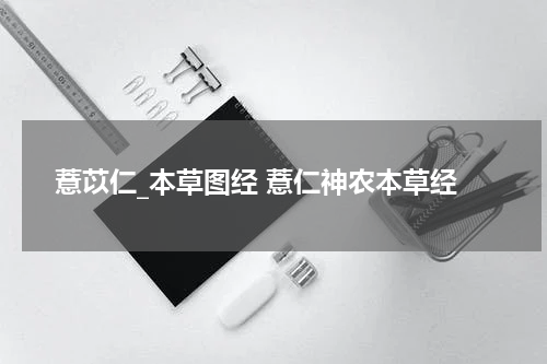 薏苡仁_本草图经 薏仁神农本草经