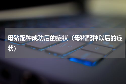 母猪配种成功后的症状（母猪配种以后的症状）
