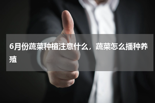 6月份蔬菜种植注意什么，蔬菜怎么播种养殖