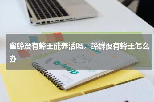 蜜蜂没有蜂王能养活吗，蜂群没有蜂王怎么办