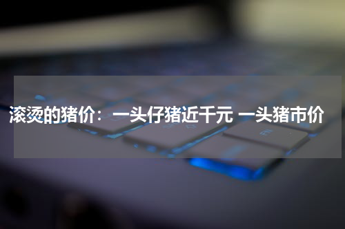 滚烫的猪价：一头仔猪近千元 一头猪市价
