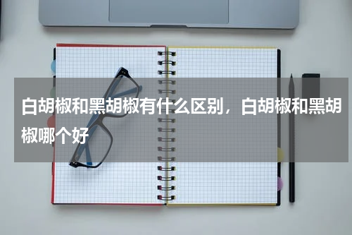 白胡椒和黑胡椒有什么区别，白胡椒和黑胡椒哪个好