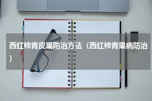 西红柿青皮果防治方法（西红柿青果病防治）