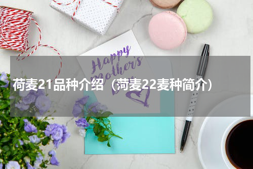 荷麦21品种介绍（菏麦22麦种简介）