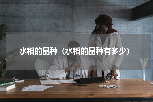水稻的品种（水稻的品种有多少）