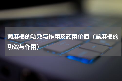 苘麻根的功效与作用及药用价值（蓖麻根的功效与作用）