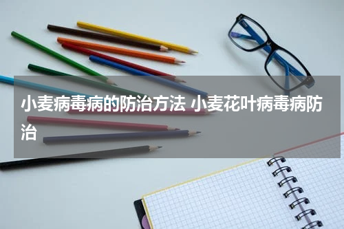 小麦病毒病的防治方法 小麦花叶病毒病防治