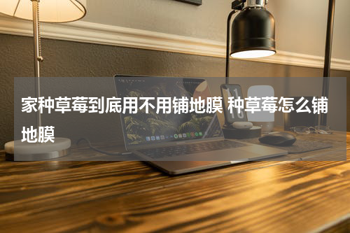 家种草莓到底用不用铺地膜 种草莓怎么铺地膜