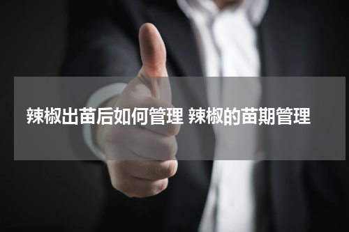 辣椒出苗后如何管理 辣椒的苗期管理