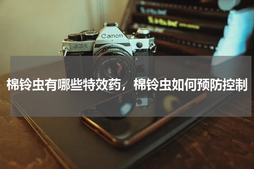 棉铃虫有哪些特效药，棉铃虫如何预防控制