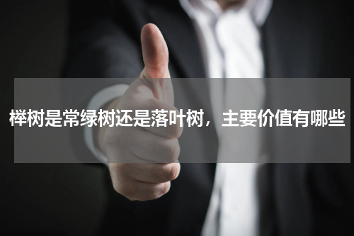 榉树是常绿树还是落叶树，主要价值有哪些
