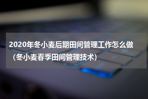 2020年冬小麦后期田间管理工作怎么做（冬小麦春季田间管理技术）