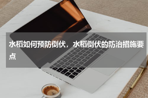 水稻如何预防倒伏，水稻倒伏的防治措施要点