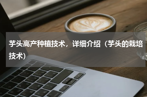 芋头高产种植技术，详细介绍（芋头的栽培技术）