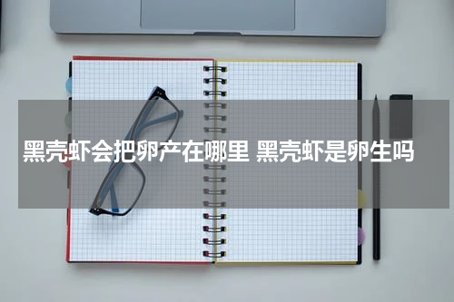 黑壳虾会把卵产在哪里 黑壳虾是卵生吗
