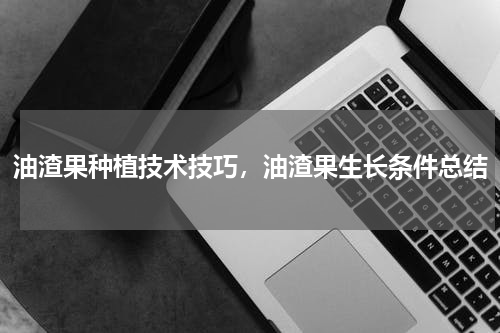 油渣果种植技术技巧，油渣果生长条件总结