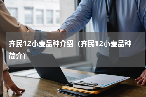 齐民12小麦品种介绍（齐民12小麦品种简介）