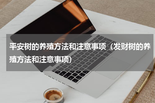 平安树的养殖方法和注意事项（发财树的养殖方法和注意事项）
