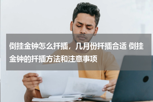 倒挂金钟怎么扦插，几月份扦插合适 倒挂金钟的扦插方法和注意事项