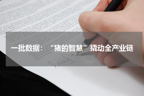 一批数据：“猪的智慧”撬动全产业链