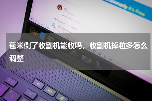 苞米倒了收割机能收吗，收割机掉粒多怎么调整