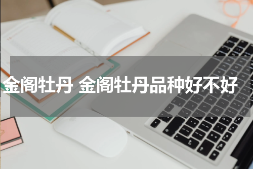 金阁牡丹 金阁牡丹品种好不好
