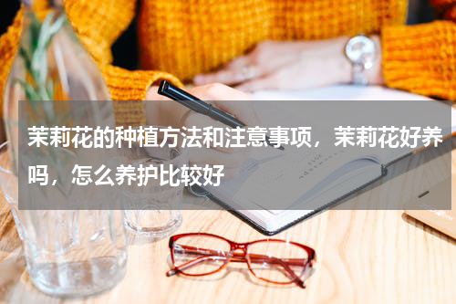 茉莉花的种植方法和注意事项，茉莉花好养吗，怎么养护比较好