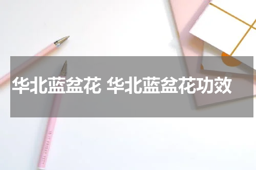 华北蓝盆花 华北蓝盆花功效