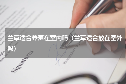 兰草适合养殖在室内吗（兰草适合放在室外吗）
