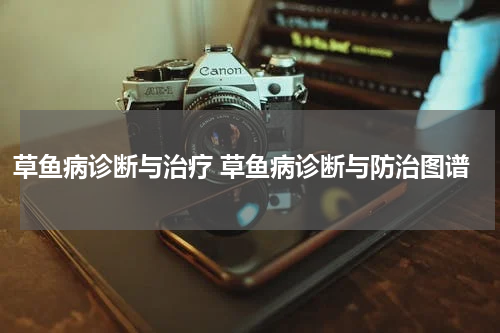 草鱼病诊断与治疗 草鱼病诊断与防治图谱