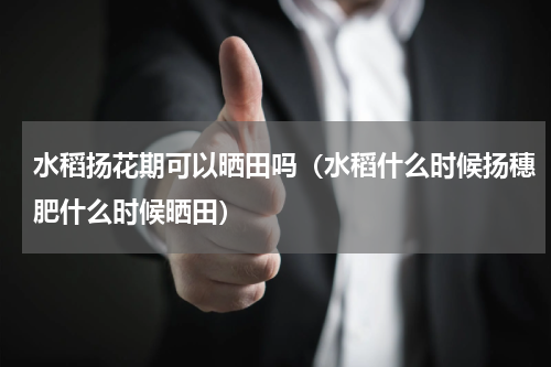 水稻扬花期可以晒田吗（水稻什么时候扬穗肥什么时候晒田）