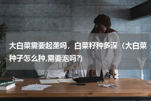 大白菜需要起垄吗，白菜籽种多深（大白菜种子怎么种,需要泡吗?）