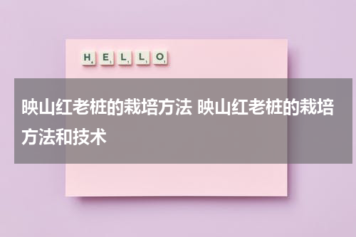 映山红老桩的栽培方法 映山红老桩的栽培方法和技术