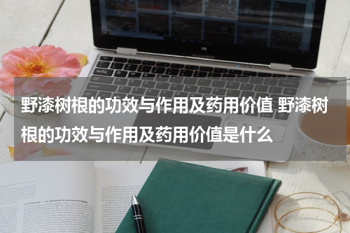 野漆树根的功效与作用及药用价值 野漆树根的功效与作用及药用价值是什么