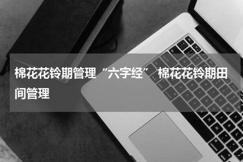 棉花花铃期管理“六字经” 棉花花铃期田间管理