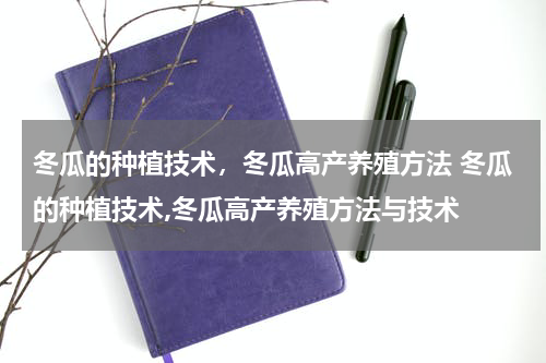 冬瓜的种植技术，冬瓜高产养殖方法 冬瓜的种植技术,冬瓜高产养殖方法与技术