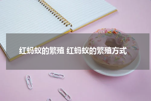 红蚂蚁的繁殖 红蚂蚁的繁殖方式