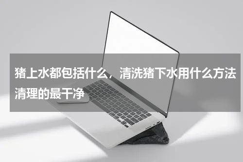 猪上水都包括什么，清洗猪下水用什么方法清理的最干净