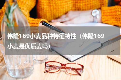 伟隆169小麦品种特征特性（伟隆169小麦是优质麦吗）
