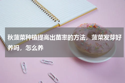 秋菠菜种植提高出苗率的方法，菠菜发芽好养吗，怎么养