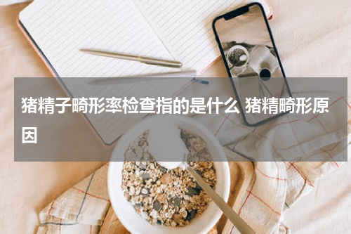 猪精子畸形率检查指的是什么 猪精畸形原因