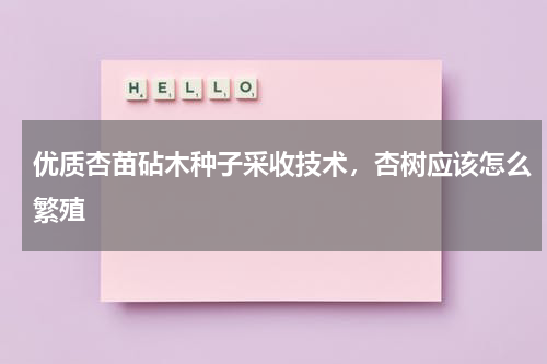 优质杏苗砧木种子采收技术，杏树应该怎么繁殖