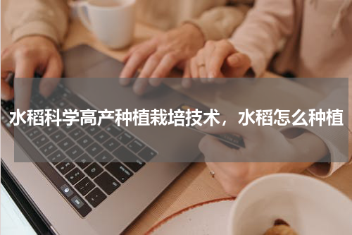 水稻科学高产种植栽培技术，水稻怎么种植