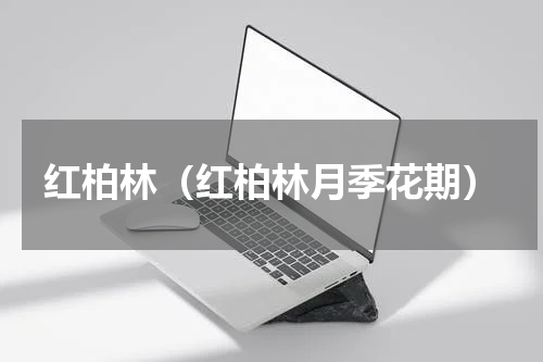 红柏林（红柏林月季花期）