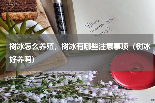 树冰怎么养殖，树冰有哪些注意事项（树冰好养吗）